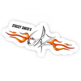 Custom car stickers china pvc vinyl lettering stickers / eco-solvent ink